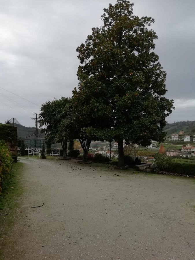 Quinta Da Tapada Villa Avô Dış mekan fotoğraf