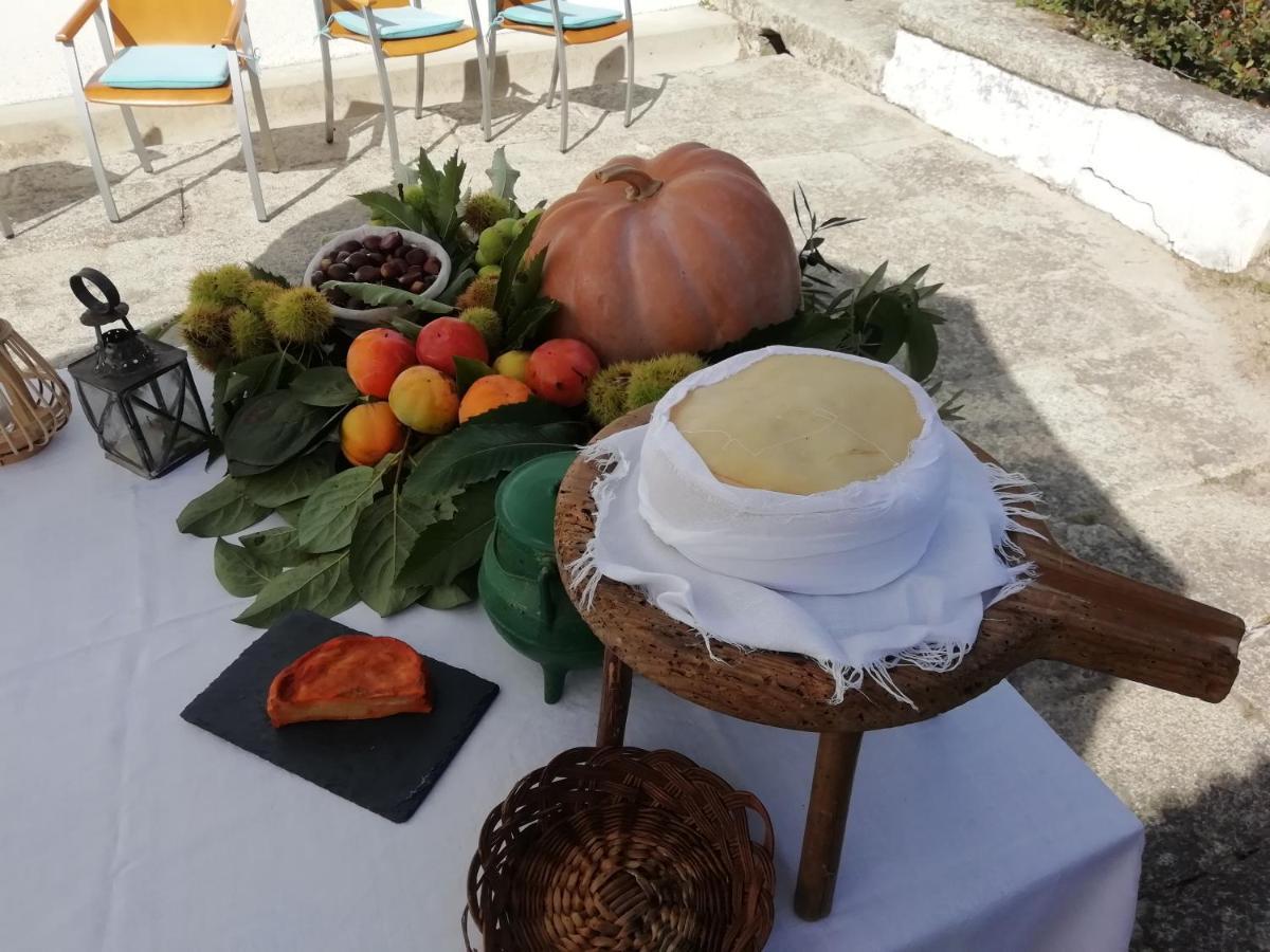 Quinta Da Tapada Villa Avô Dış mekan fotoğraf