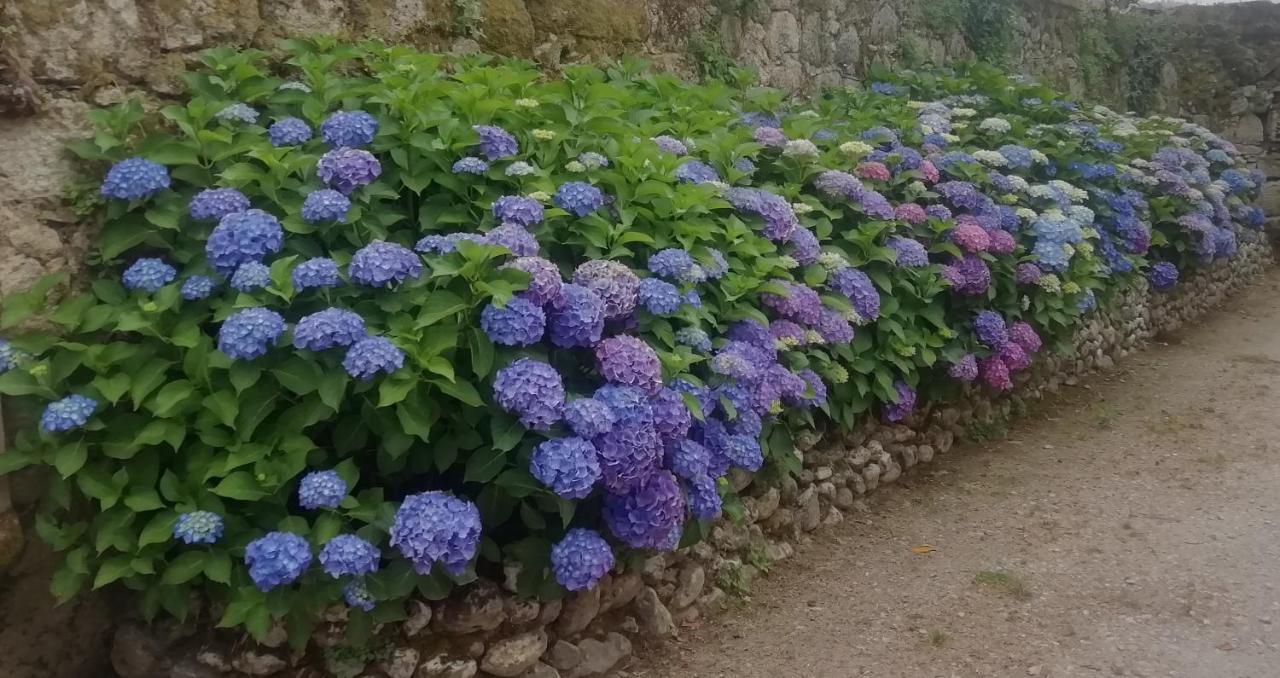 Quinta Da Tapada Villa Avô Dış mekan fotoğraf