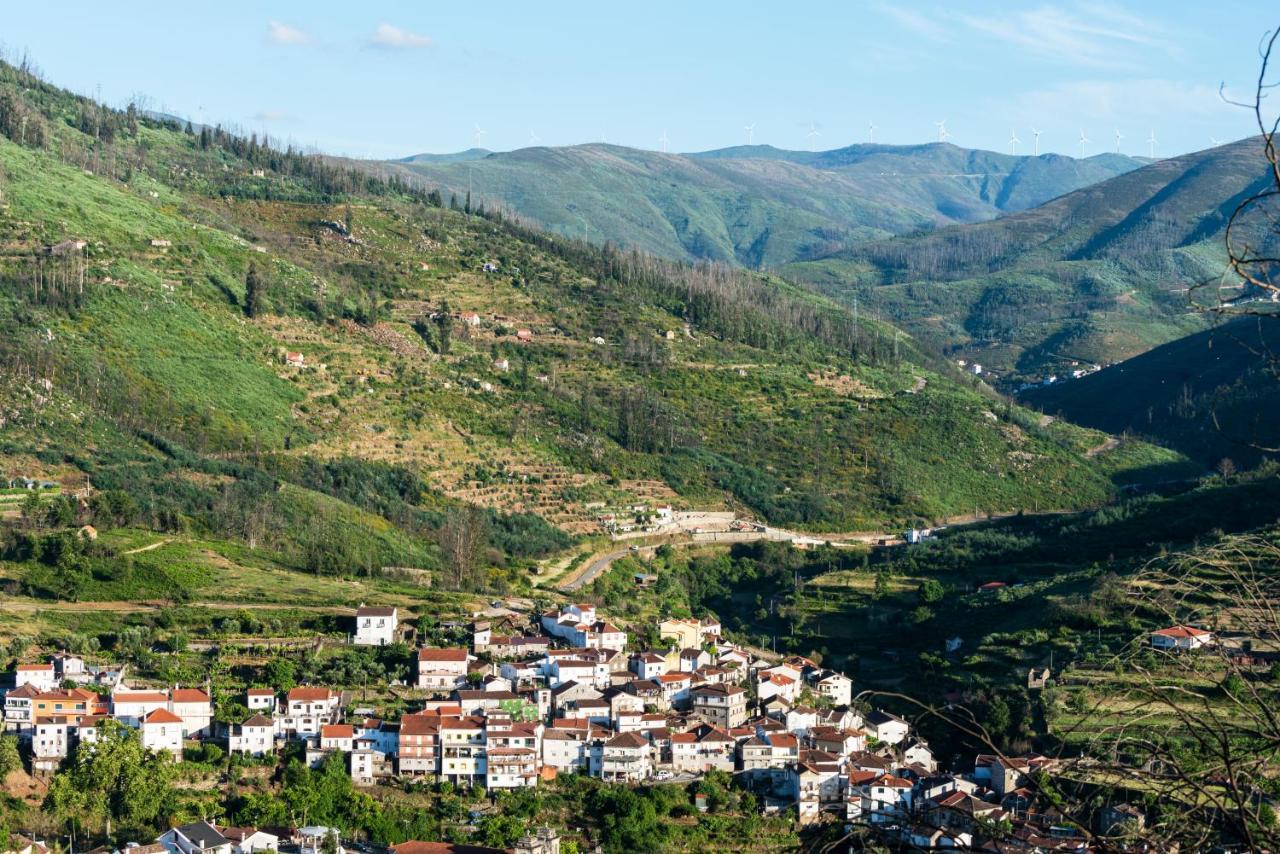 Quinta Da Tapada Villa Avô Dış mekan fotoğraf